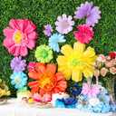 AmazingSpark 20 Pcs Colorful Giant Paper Flowers and Butterfly 24''/12'' Large Tissue Paper Flowers 9.8''/7.9'' Gradient Butterfly for Wall Fiesta Christmas Mexican Wedding Baby Shower Party Decor