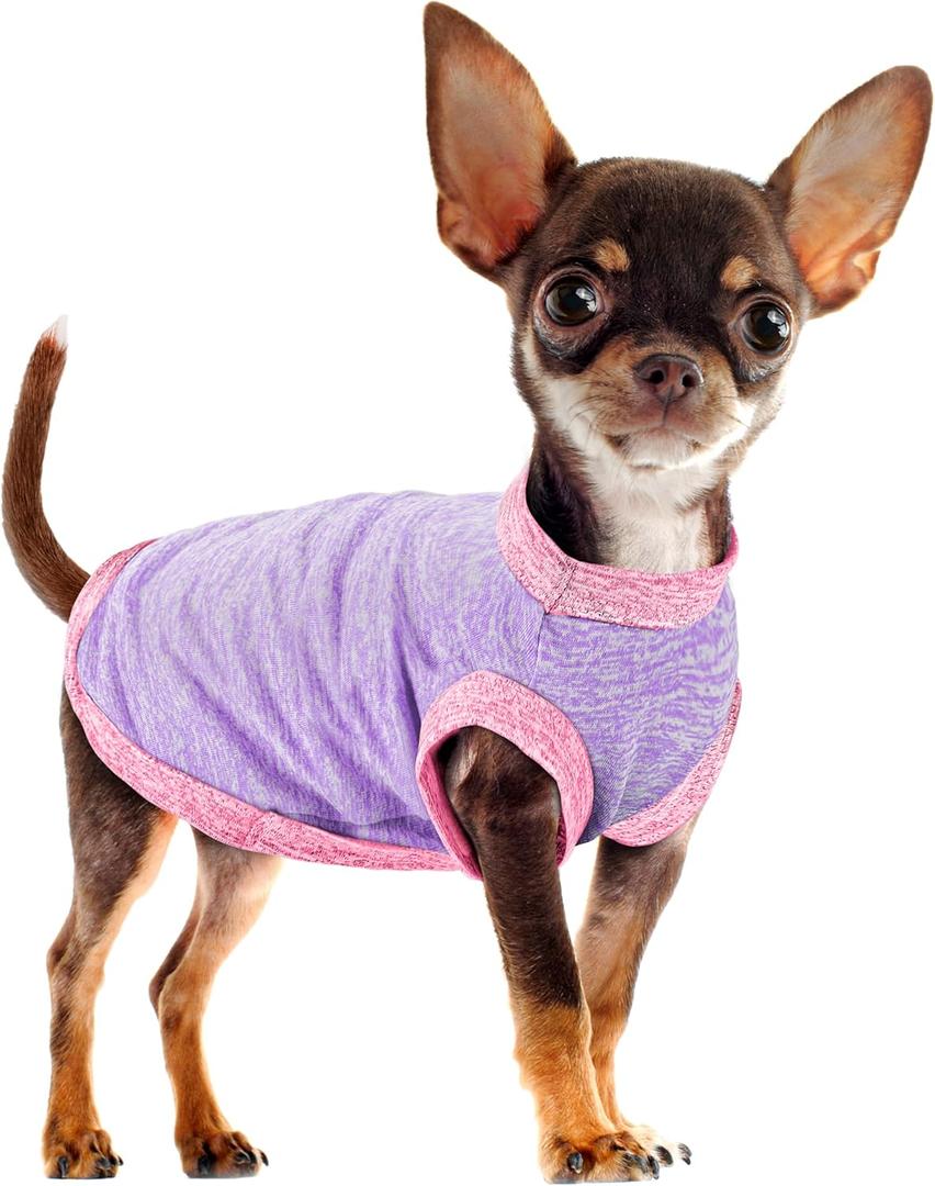 Paiaite Chic Ion Polyester Dog Vest: Adorable Fashion Dog Apparel for Small, Medium, and Large Breeds, Moisture-Wicking, Soft, Anti-Static, Durable, and Easy-to-Clean Design Dog Shirt Purple XXL (XX-Large)