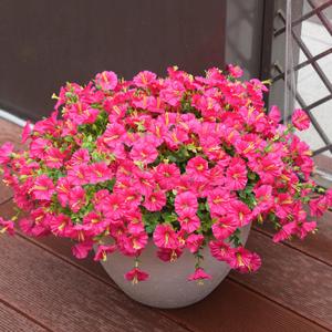 Artificial Flowers for Outdoors, UV Resistant Fake Silk Morning Glory, Realistic Faux Plants for Outside Porch Patio Window Box Hanging Planter (12, Hot Pink)