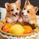 Corgi Figurine Dog Gift Basket Resin Statue Key Bowl Entryway Table Decor Decorative Rattan Style Dog Storage Bowl for Keys Candy Fruit Holder Corgi Lovers Gifts, 7.9 Inch