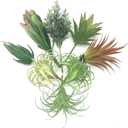8 PCS Artificial Succulents Plants Lifelike Air Plants Floral Tree Arrangement Assorted Faux Greenery Artificial Plants Set Garden Home Office DIY Decoration Ornament