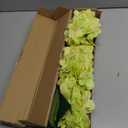 Kimura's Cabin 6pcs Silk Hydrangea Artificial Flowers Fake Hydrangeas Flower with Stems Faux Hydrangea Bouquets for Wedding Party Arrangements Home Table Centerpieces Decoration (Lime Green)