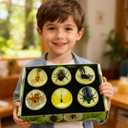 6 Insect Specimens,Real Specimens of Various Butterflies and Beetles Made of Resin, Resin Taxidermy for Science Classroom Specimens Education, Great Gift for Taxidermy (1, 4.7 inch)