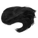 Short Black Synthetic Hair Wig with Flat Bangs, Natural Straight Bob Style for Women Cosplay Party and Daily Wear