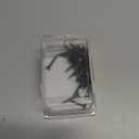 40870 Coarse Thread 6 x 1-Inch Drywall Screw with Phillips Drive , black