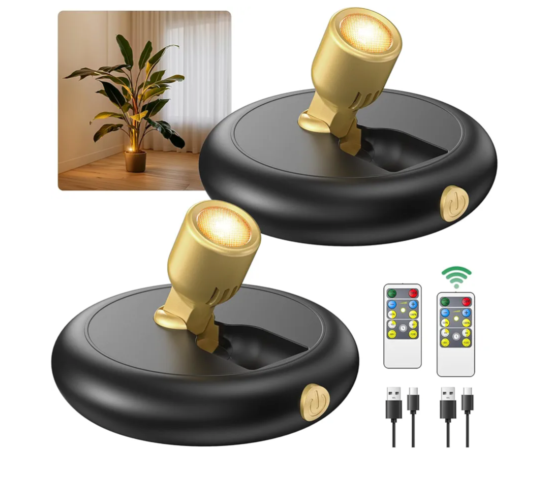 Rechargeable Battery LED Spotlight Indoor: Wireless Mini Art Accent Spot Lights with Timer Remote - Small Dimmable Up light for Plants Display Painting Dartboard Artwork Portrait Closet