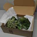 Winlyn 19 Pcs Assorted Artificial Succulents Plants Unpotted Small Green Aloe Hops Cactus String of Pearls Picks Fake Succulents Bulk for Succulent Garden Floral Arrangement Indoor Outdoor Home Decor