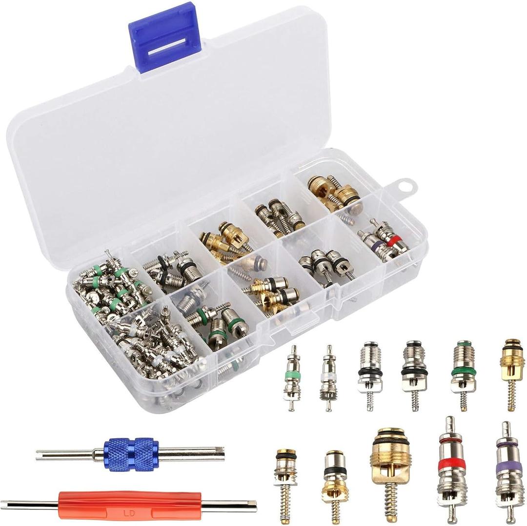 Diking R134a R12 A/C HVAC Air Conditioner Schrader Valve Stem Core Remover Tool (102Pcs)