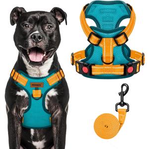 MIDOG No-Pull Dog Harness | Adjustable & Reflective Pet Harness Leash Set for Small Medium Large Dogs Walking, Training| No Choke, Front Clip, Soft Padded Vest with Easy Control Handle - Blue, L