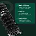 SCITOO Rear Strut Assembly 2000 2001 2002 2003 2004 for Subaru for Outback