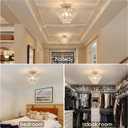 Luupyia Mini Crystal Chandelier Ceiling Light Small, Modern Crystal Ceiling Light for Hallway Fixtures Semi Flush Mount Silver Chandelier for Bedroom Hall Living Room Hallway