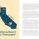 Sparkling Wine for Modern Times: A Drinker's Guide to the Freewheeling World of Bubbles