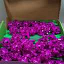 V-Opitos 180 Pack Glow in The Dart Fort Building Kits for Kids Age 4, 5, 6, 7, 8+ Years Old, STEM Building Toys for DIY Castles, Tunnels, Ideal Christmas, Birthday Gifts for Boys & Girls