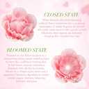 Wedding Giant Electric Artificial Flower: Auto-Open Organza Flower Decorations with Light - Large Floor Stand Blooming Flower Home Decor - Huge Banquet for Birthday Party Display (Pink, 23.62 IN)