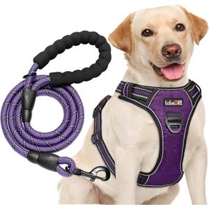 No Pull Dog Harness Adjustable Reflective Oxford Easy Control Medium Large Dog Harness with A Free Heavy Duty 5ft Dog Leash (M (Neck: 14.5"-20.5", Chest: 22"-28"), Purple Harness+Leash)