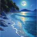 Beach Moonlight Paint by Numbers Kit for Adults Beginner Ocean Oil Painting Kit Adult Paint by Number Kits on Canvas Moon DIY Painting for Beginners Art by Numbers for Gifts Home Wall Decor 16x20 Inch (YF019)