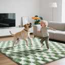 Area Rugs for Bedroom Living Room,6x9 Green and White Fluffy Soft Checkered Rug Fuzzy Shag Shaggy Carpet, Indoor Plush Floor Rugs for Kids Boys Girls Teen Dorm Nursery Home Decor