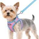 rabbitgoo Dog Harness Small Sized and Leash Set, Step-in Breathable Pet Harness, Soft Walking Reflective Puppy Vest for Small Dogs, Pink & Light Blue, XS
