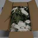 Set of 60 Artificial Roses Bulk Velvet Silk White Roses White Roses for Wedding Centerpieces Bridal Bouquet Mother's Day Valentine's Day Home Decor (White)