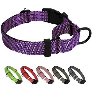 BXPAW Martingale Dog Collars Adjustable Training Martingale Collar for Dogs - Reflective No Pull Dog Collar with Quick Release Buckle XL