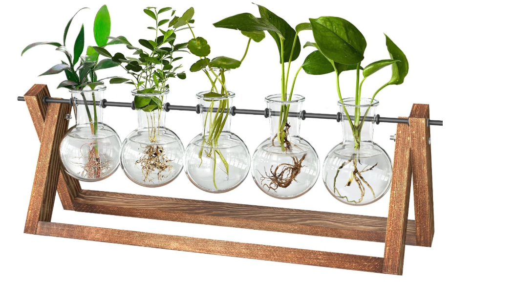 CFMOUR Plant Terrarium with Wooden Stand, Desktop Propagation Stations Glass Air Planter Metal Swivel Holder for Indoor Live Hydroponics Plants Office Home Garden Decor (5 Bulb Vase)
