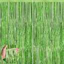 Grass Green Fringe Curtain Party Streamers 2Pack 3.3 x 8.3 Ft Foil Fringe Backdrop Curtains for Birthday Wedding Bridal Baby Shower Holiday Tinsel Streamers Green Party Decorations Door Streamer