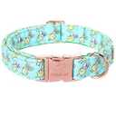 Spring Dog Collar, Cute Pink Daisy Femal Pet Collar with Metal Buckel, Durable Adjustable Designer Dog Collars for Small Medium Large Dogs L
