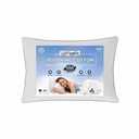 Pillow 1Pcs Allerease Standard/Queen 20x28in