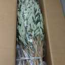 Majestic Faux Olive Tree 7 feet  Artificial Olive Tree Indoor & Outdoor with Lifelike Leaves & Textured Branches for Living Room, Office, Entryway,Patio