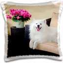 3D Rose American Eskimo Lying on Patio Couch Pillow Case, 16" x 16"