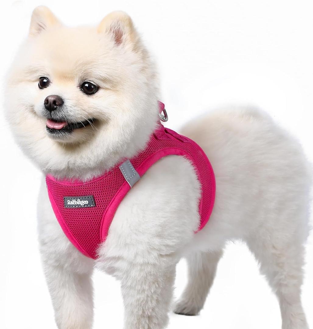 rabbitgoo Small Dog Harness, Step-in Soft Mesh Puppy Vest with Safety Buckle, Breathable Reflective Pet Harness for Small Sized Dogs, Rose Red S (S(Chest:15.1"-16.5"))