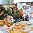 Fall Orange Pumpkins Placemats Set of 4 Watercolor Autumn Leaves Linen Texture Thanksgiving Washable Place Mats Non-Slip Heat Insulation Cotton Blend Table Mats for Kitchen Dining Party, 13"x19"