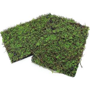 AQUA KT Terrarium Moss Background Backdrop Wall Artificial Reptile Amphibian Cage Decoration for Lizard Bearded Dragon Snake Frog Chameleon Climbing, Pack of 2