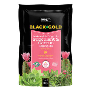 Black Cold Natural & Organic Succulent & Cactus Potting Mix 1 Cu Ft