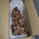 Christopher Knight Home Tabletop Christmas Tree, Champagne + Glitter