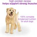 Purina Beneful Wet Dog Food Variety Pack, Chopped Blends - (12) 10 oz. Tubs (EXP 01/01/27)