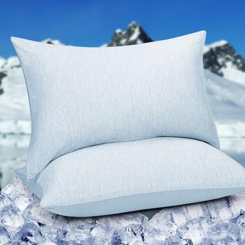 HOMFINE Cooling Pillowcases Queen Size - Double Side Q-Max 0.439 Cooling Fiber for Pillow Protector, Breathable Cold Pillow Cover for Hot Sleeper Night Sweat, Zipper, 2 Pack (20"x30", Light Blue)