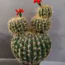 AntHousePlant Artificial Cactus Fake Big Cactus 27 Inch Faux Cacti Plants for Home Garden Office Store Decoration