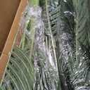 6ft Tall Triple Golden Cane Palm Artificial Tree Large Tropical Palm Tree UV Resistant Fake Plant in Pot for Indoor Outdoor Big House Living Room Outside Patio Office Home Decor (Set of 2)