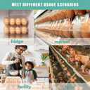 SINLUCESCE 100 Packs 12 Count Clear Plastic Egg Cartons, 3 * 4 Grids Design, Perfect for Family, Farm, Markets, Display(Large)