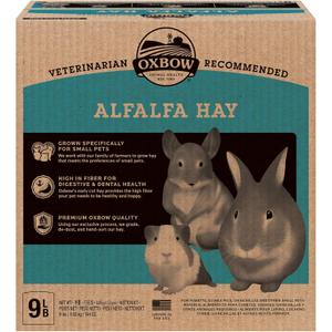 Oxbow Alfalfa, Guinea Pig Hay, Rabbit Hay, Small Pet Bunny Supplies, All Natural Grass for Guinea Pig, Bunny, Chinchilla & Hamster, Oxbow Rabbit Supplies, Grown in USA, 9 lb box (9 Pound (Pack of 1))