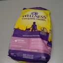Wellness Complete Health Kitten Dry Cat Food, Natural, Wholesome Grains Kibble, Turkey, Turkey Meal and Chicken Recipe, 5 lb Bag (EXP 03/31/26)
