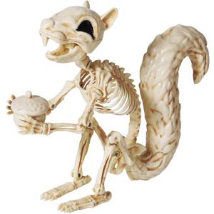 JOYIN Squirrel Skeleton Halloween Decoration 9.1 Inch Animal Posable Skeletons Movable Joints Plastic Bones with Pine Cones for Halloween Haunted House Decor Spooky Scene Garden Patio Party Prop