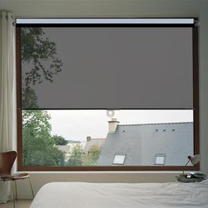 Cordless Mirrored Privacy Shade Thermal Insulation Curtain No Drill Roller Shades Anti UV Window Tint Wide 15 31 39 47 55 Inches Sun Protection Blackout Roll Up One Way See Through (Black,33'' W x 79'')