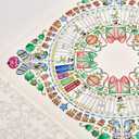 Johanna's Christmas: A Festive Coloring Book for Adults