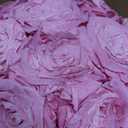 27 Preserved Roses in Round Dome Shape, Mother's Day Real Forever Flowers Rose Box, Eternal Rose Gift for Her Women Girl Friend Wife, Flower Gift for Valentines Day(Pink)