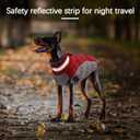 Small Dog Coat,Dog Jackets for Small Dogs,Warm Winter Jacket, Puppy Coat with Harness Built in,Waterproof Dogs Jacket,Puppy Cold Weather Coats,Pet Winter Clothes Snowsuit Shih Tzu Bichon,Red