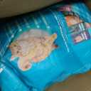IAMS Proactive Health Dry Cat Food, Indoor Weight and Hairball Care Cat Food Dry Recipe, with Real Chicken in Every Bite, 22 lb. Bag (EXP 12/31/36)
