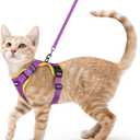 rabbitgoo Cat Harness and Leash Set, Escape Proof Vest, Purple & Yellow | Soft Breathable Mesh, Easy Adjustable Fit, Snap Buckles, Sturdy Clip, Reflective Strips, for Average Cats Walks, S