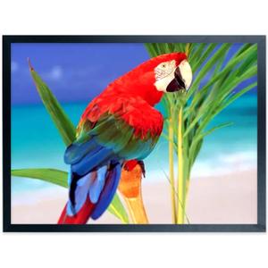 Poster Frames 17x21inch Solid Wood Picture Frame Black for 17x21 Poster and Photo Frames, including hanging hardware (F22B1721)
